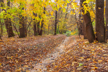 Almost dry stream in the Kolomenskoe park in the autumn, Moscow