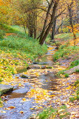 The stream in the Kolomenskoe park in the autumn, Moscow