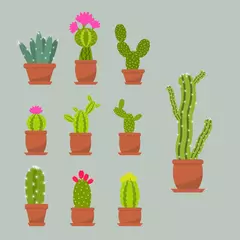 Foto op Plexiglas Cactus in pot Home vetplanten cactus in keramische potten