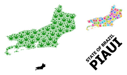 Vector Collage Map of Piaui State of Bright and Green Hemp Leaves and Solid Map