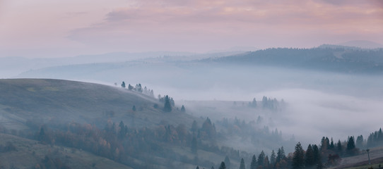 Beautiful panorama of autumn mountains, groups of trees on a mountain hills. Morning fog in valley between mountain slopes.