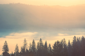 Beautiful autumn scenic panorama of foggy Carpathian mountains at early morning. Fog, illuminated by rising sun, over mountain hills.