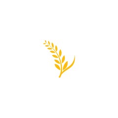 Agriculture wheat Logo Template vector icon