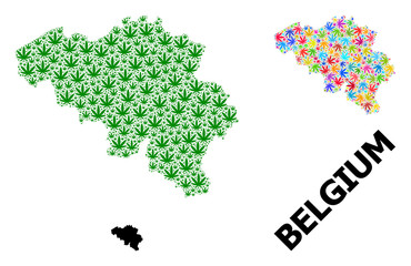 Vector Mosaic Map of Belgium of Psychedelic and Green Weed Leaves and Solid Map