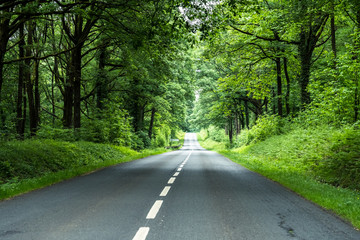 route de foret