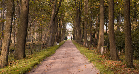 Obraz premium Allee im Park