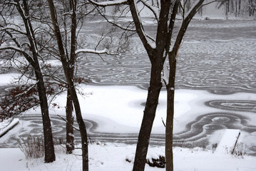 Winter, snow, frozen, lake, tree