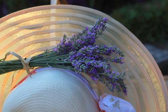Summer hat over lavender flowers against sunlight
