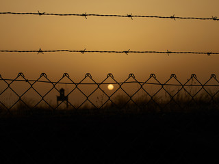 sunset behind a wire fence