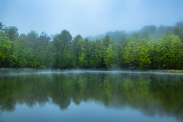 Fototapeta na wymiar lake with forest