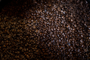 Coffee beans is roasting in roaster machine in coffee shop.