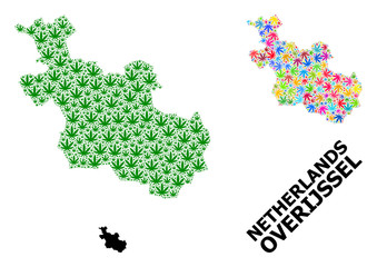 Vector Collage Map of Overijssel Province of Colored and Green Weed Leaves and Solid Map