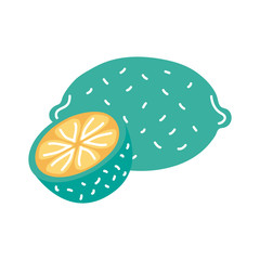 lemon citrus fruit flat style icon