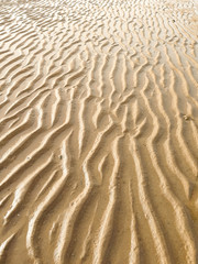 Vertical high angle shot of natural traces on the sand