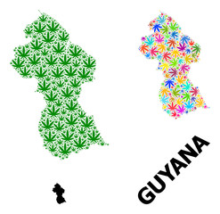 Vector Mosaic Map of Guyana of Colored and Green Marijuana Leaves and Solid Map