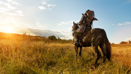 Girl in medieval knight's armor is riding a horse against the sunset fields background