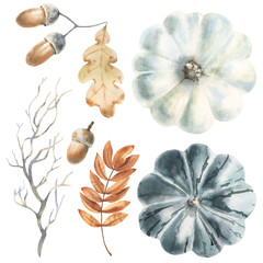 Hand paint watercolor autumn set of pumpkins, acorns, autumn leaves and branch, isolated on white background. Perfect for creating cards, print, design. 
