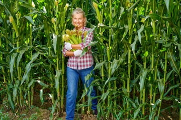 Woman farmer with a harvest of corn.