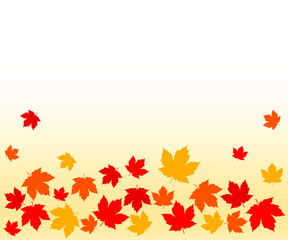 Vector illustration: Frame with autumn leaves on white background. 