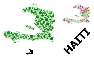 Fototapeta na wymiar Vector Mosaic Map of Haiti of Bright and Green Cannabis Leaves and Solid Map