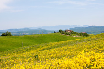 Toskana im Frühling