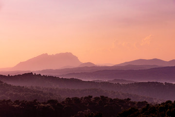 Vespre a la montanya de Collserola