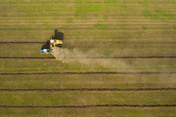 Fototapeta na wymiar Harvesting. Striped field, top-down view from drone. Combine harvester and tractor are working in the field.