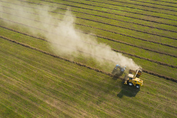 Harvesting. Striped field, top-down view from drone. Combine harvester and tractor are working in the field.