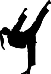 Silhouette of a karate girl doing standing side kick
