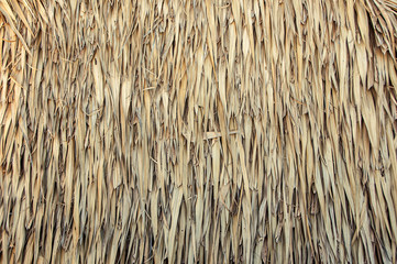 Hay stack from dry grass and straw or thatch texture background.