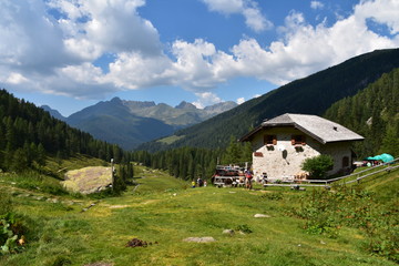 Fototapete bei efototapeten.de bestellen   