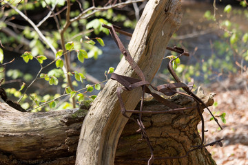 Natur trifft Mensch