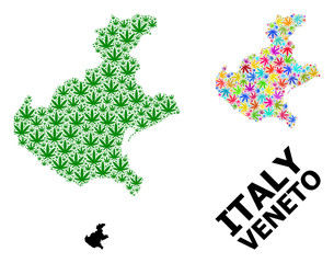 Fototapeta na wymiar Vector Mosaic Map of Veneto Region of Colored and Green Cannabis Leaves and Solid Map