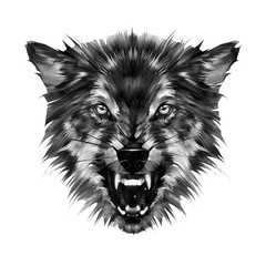 drawn beast wolf with bared mouth on a white background © khius
