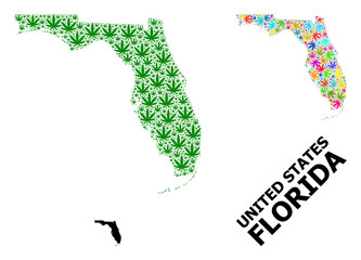 Fototapeta premium Vector Collage Map of Florida State of Colored and Green Weed Leaves and Solid Map