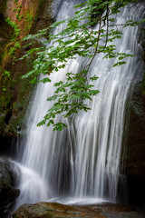 Whatcom Falls Park, Located in the Heart of Bellingham, Washington. The falls are on Whatcom Creek, which leads from Lake Whatcom to Bellingham Bay. Popular with locals and tourists alike.