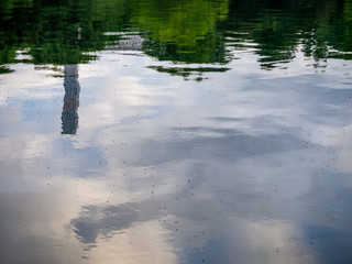 Obraz na płótnie Canvas reflection in pond in Central Park New York