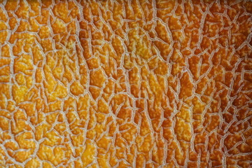 Texture of orange ripe melon