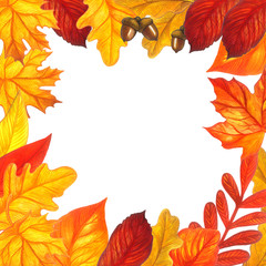 Naklejka na ściany i meble Autumn leaves frame - template for text, banner, card, invitation in autumn style. Bright colorful leaves on white background. Watercolor illustration.