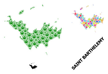 Vector Mosaic Map of Saint Barthelemy of Psychedelic and Green Marijuana Leaves and Solid Map