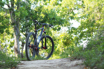 Mountain bike stands on the trail in the summer forest..