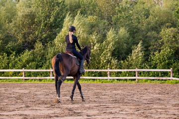 Back view of young blond woman in black clothes riding her brown horse in outdoor riding arena...