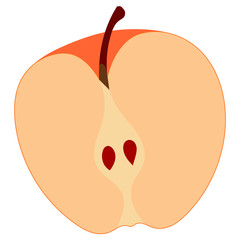 Half an apple without background