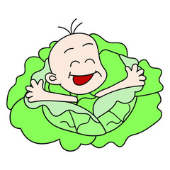 Baby in cabbage on white background