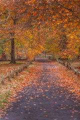 Autumn