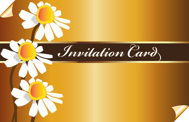 Vintage golden invitational card with daisy flowers vector image