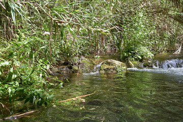 Idyllic landscape of water and vegetation