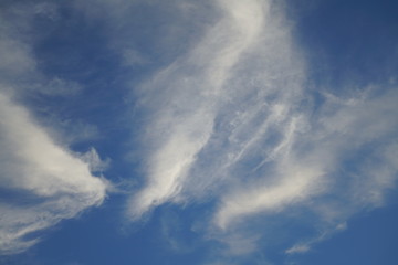 Stimmungsvoller Wolken Himmel mit Cirrus spissatus