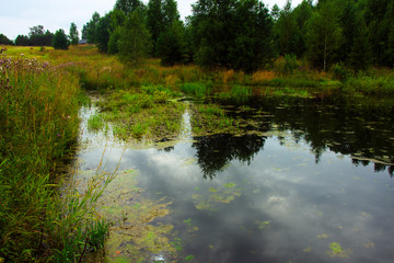 Fototapeta na wymiar The forest river is blocked by an artificial dam. A small lake was formed from the flood. The ecological balance is disturbed by man. Northern forests, taiga