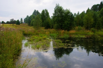 The forest river is blocked by an artificial dam. A small lake was formed from the flood. The ecological balance is disturbed by man. Northern forests, taiga